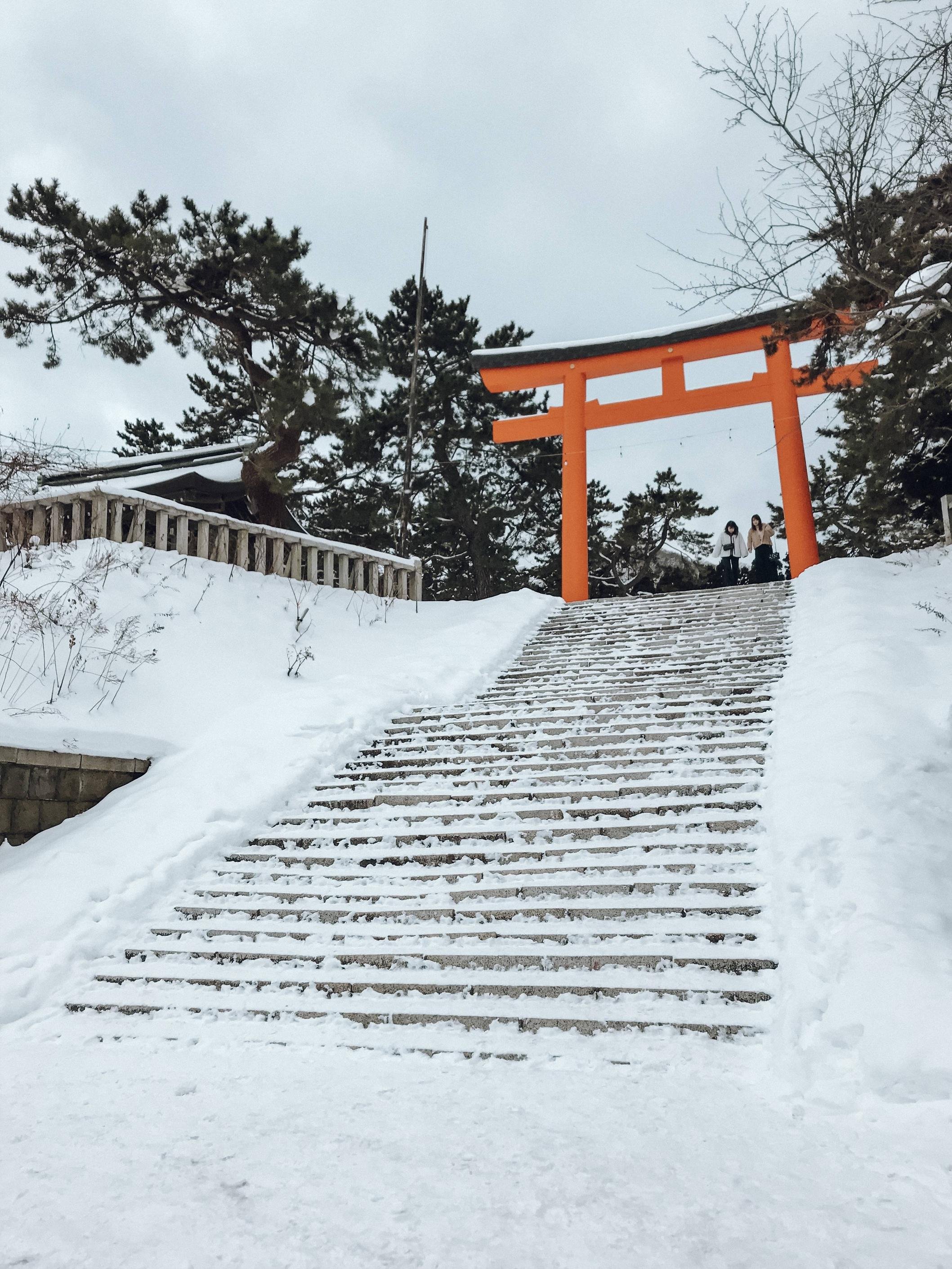 ⛩️ 호국 신사 (홋카이도 고코쿠 진자) 이미지 6